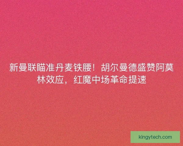 新曼联瞄准丹麦铁腰！胡尔曼德盛赞阿莫林效应，红魔中场革命提速